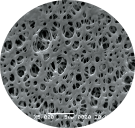 원형 PES.png