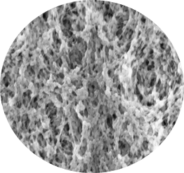 원형 PVDF 0.2.png