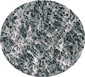 원형 HYDROPHILIC PTFE.png