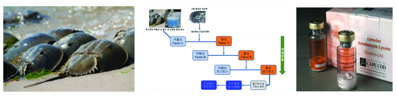 LAL Test Process.png