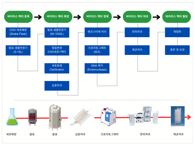 Viral Vector process.png