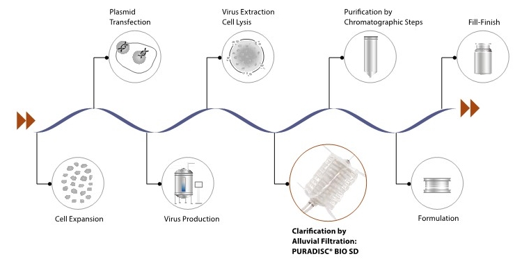Viral_Vectors_1.jpg