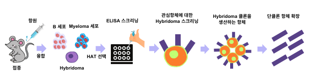 동물세포생산공정-실험실.png