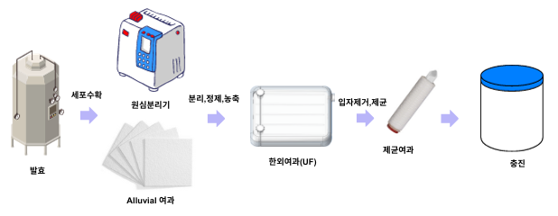 동물세포생산공정-생산.png