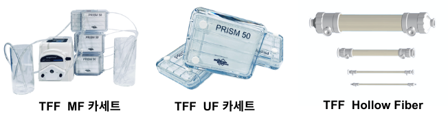 UF.png