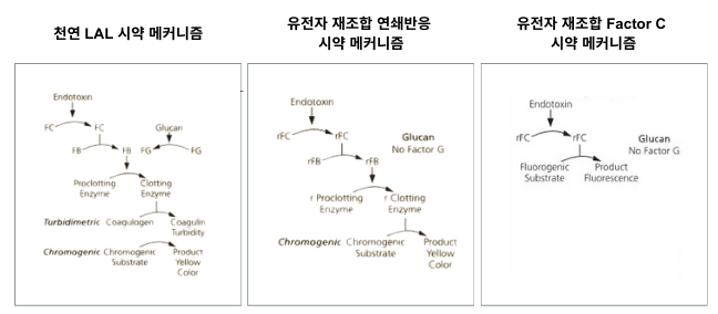 엔도톡신 검사 시약 메커니즘.png