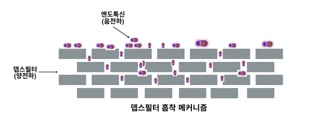 Depth필터 엔도톡신 흡착메커니즘.png