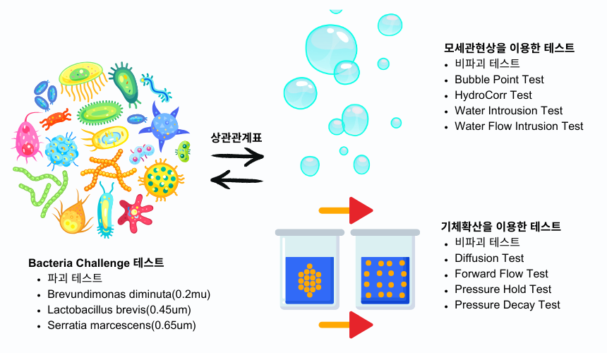 완전선_테스트_종합.png