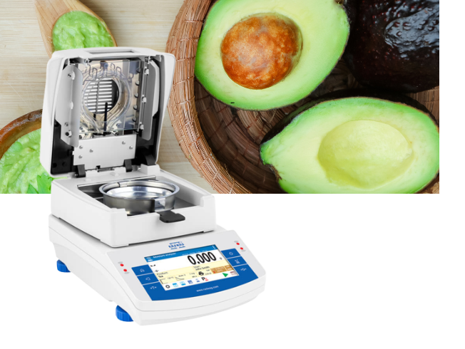 Avocado-4.png