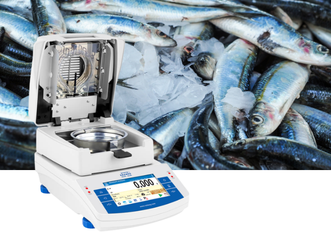 Fish Food-3.png