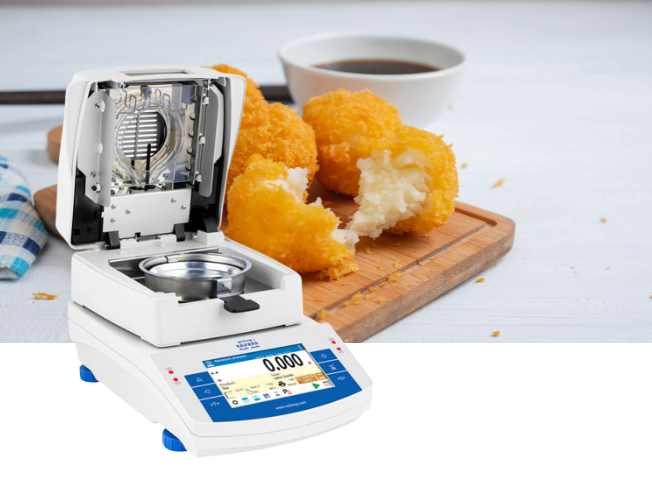 Fried cheese-3.png