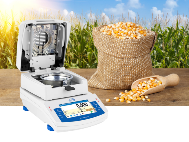 Maize-3.png