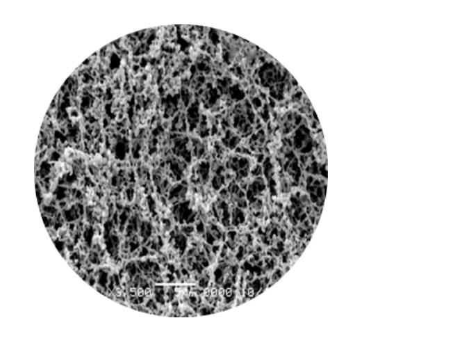 Filter Tip SEM.png