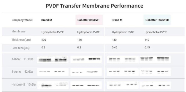 Transfer Membrane Performance.png