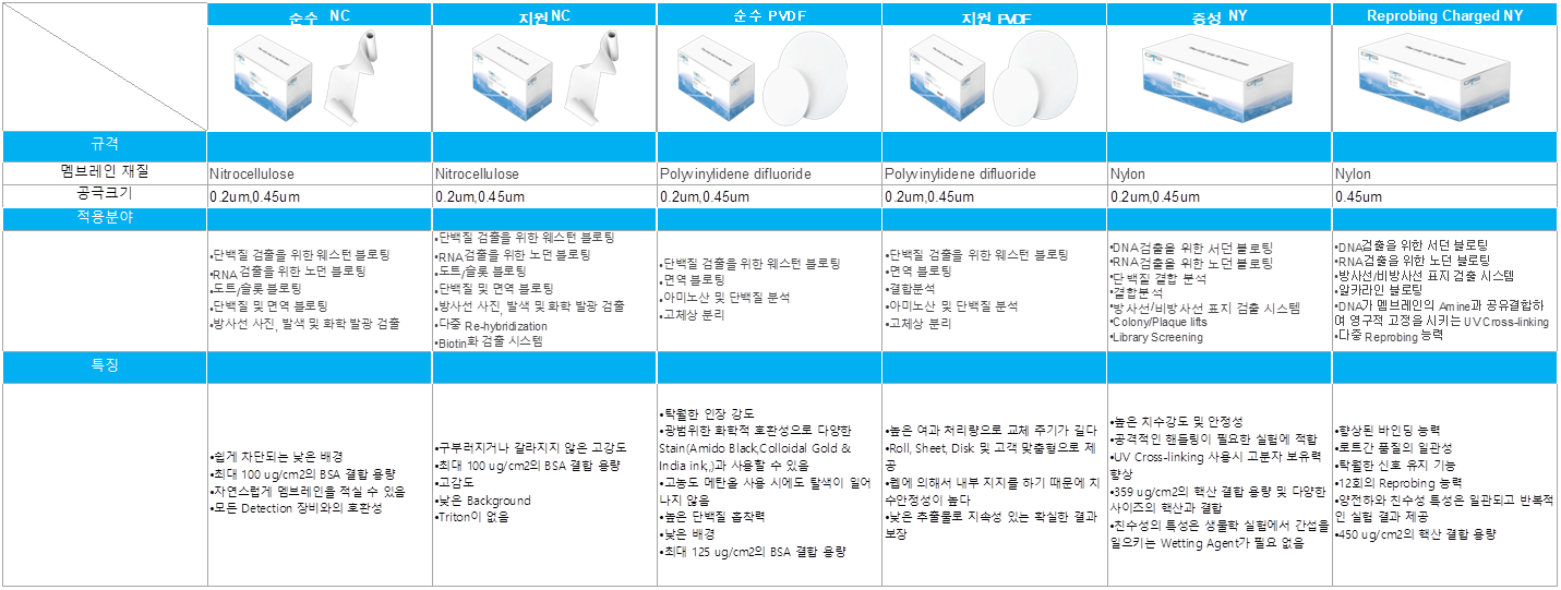 블로팅1.png