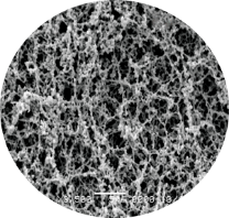 image2.png