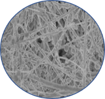 image1.png